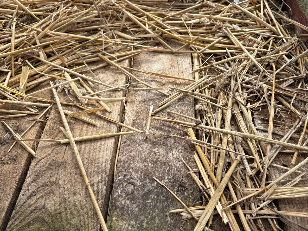 Billede 7 - Hjemmelavet Kaninbur