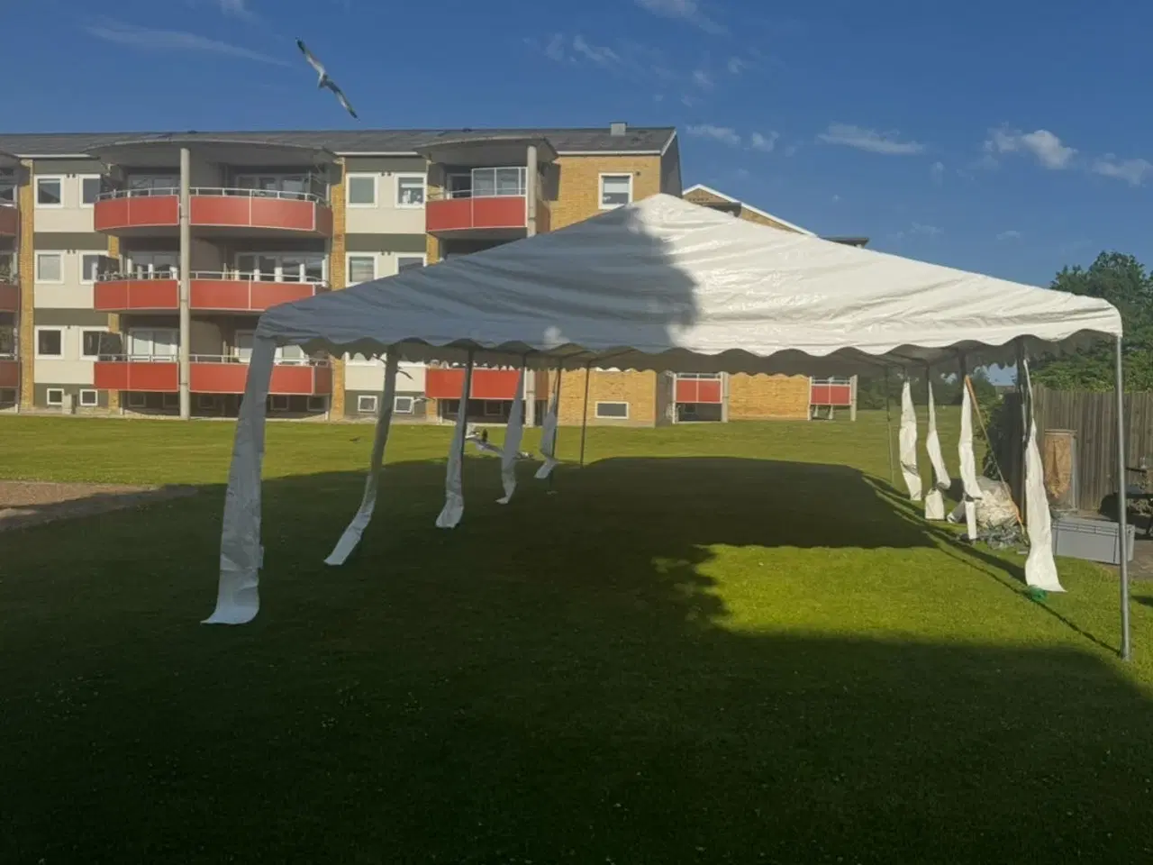Billede 4 - Festtelt 5x10 m inkl. opsætning – kun 1.999 kr.