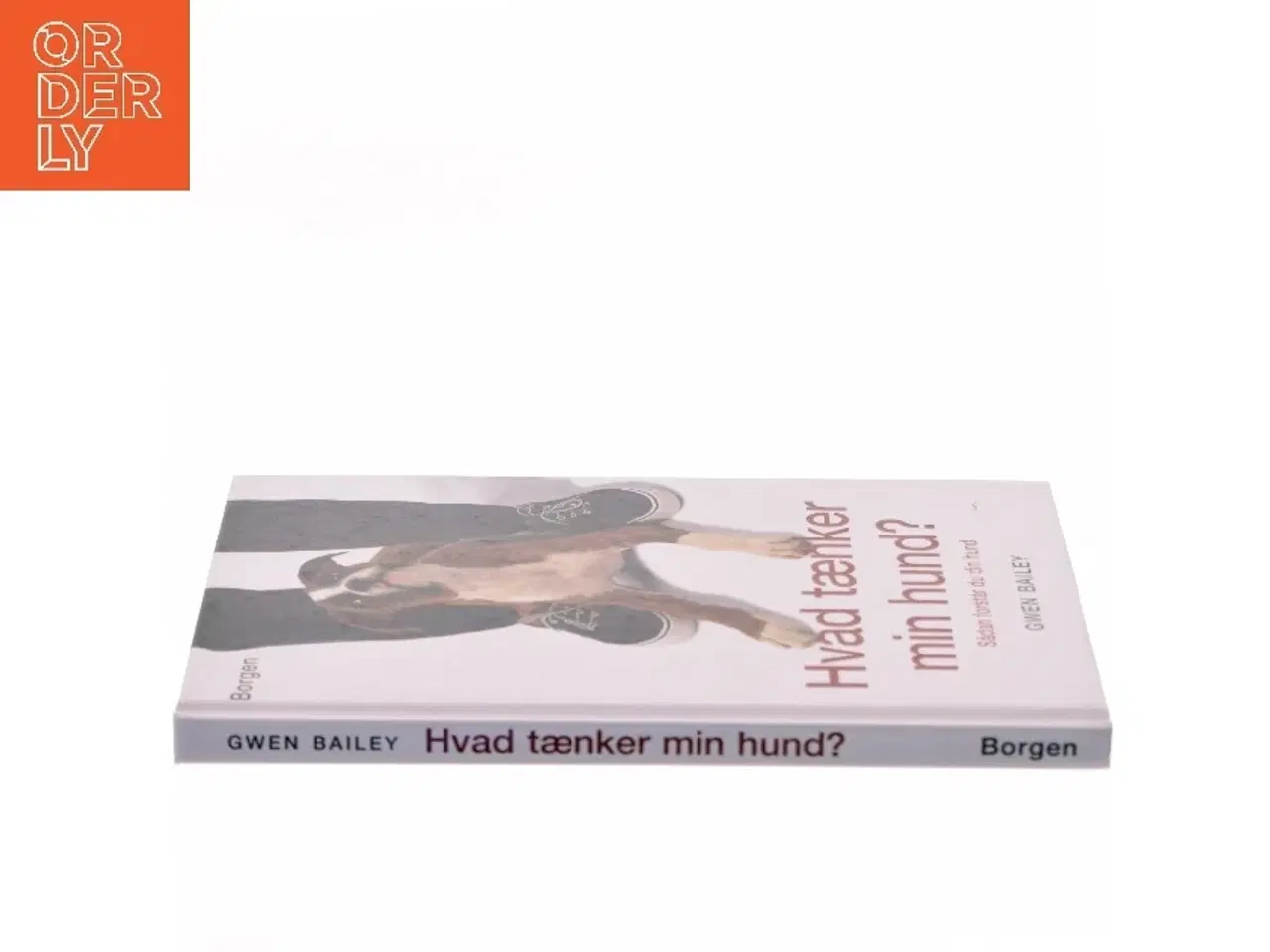 Billede 2 - Hvad tænker min hund? : sådan forstår du din hund af Gwen Bailey (Bog)