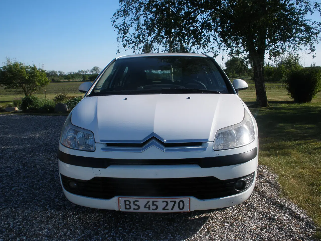 Billede 2 - Citroen C4 1,6 HDI 5 dørs