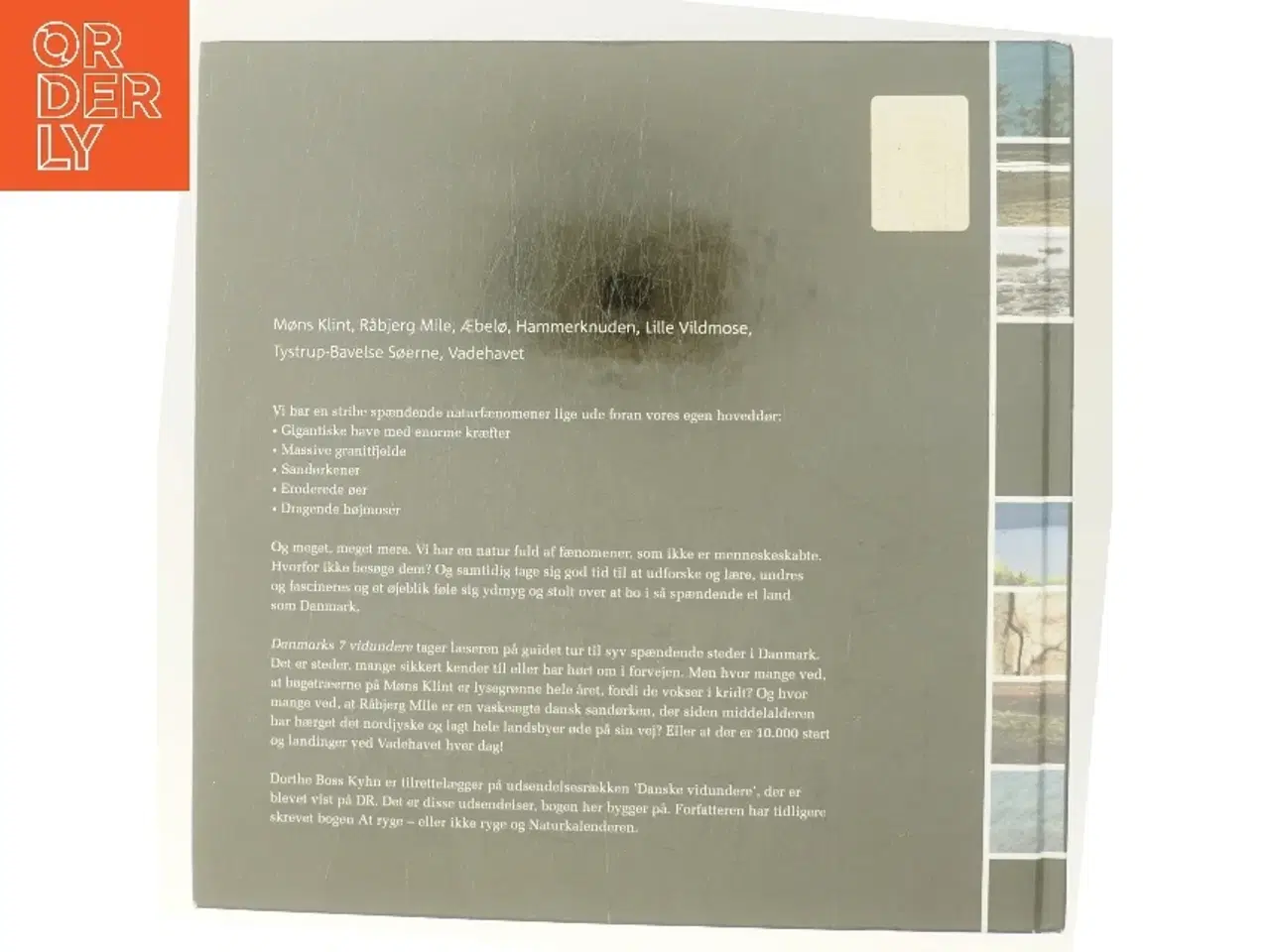 Billede 3 - Danmarks Vidundere 7 af Dorthe Boss Kyhn (Bog)