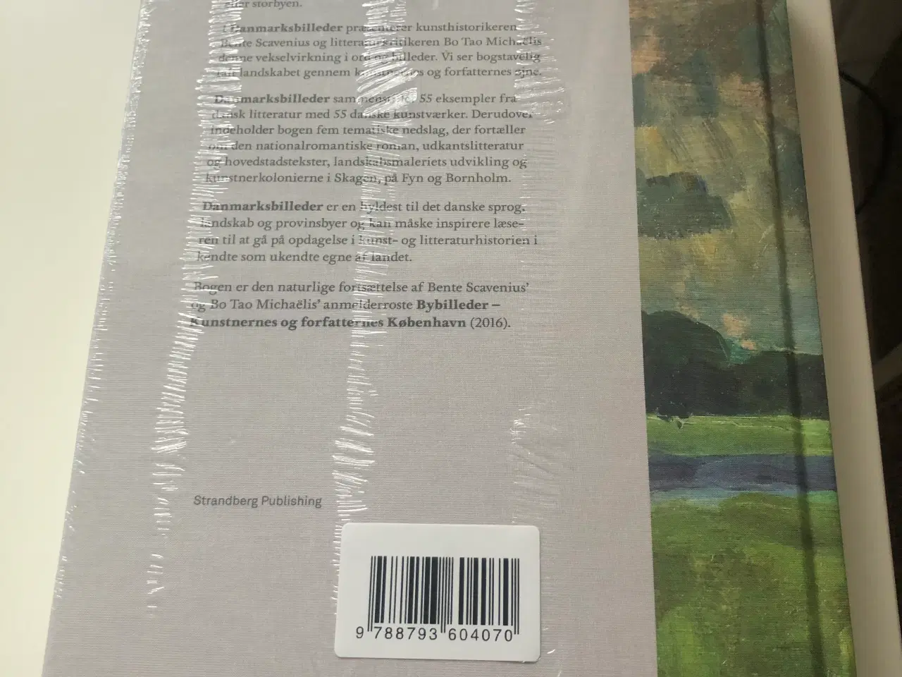 Billede 2 - Danmarks billeder 