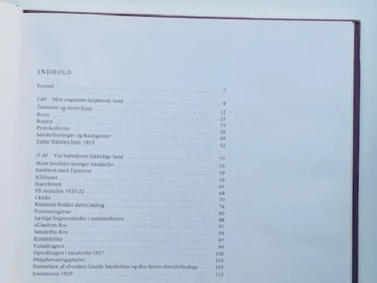 Billede 4 - Badegæster i Sønderho 1908-1929