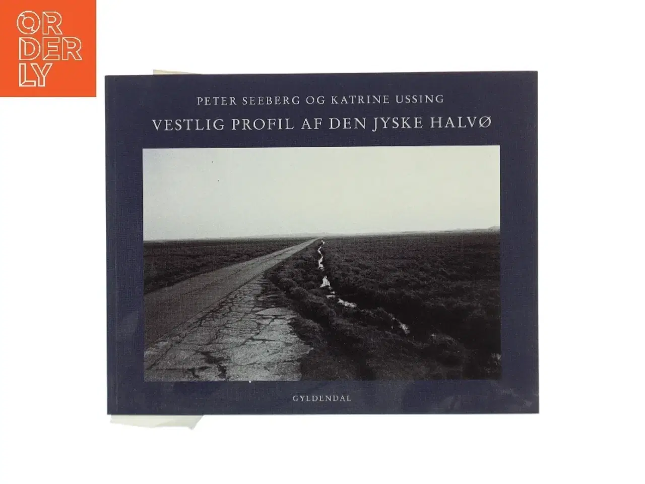 Billede 1 - Vestlig profil af den jyske halvø (Bog)