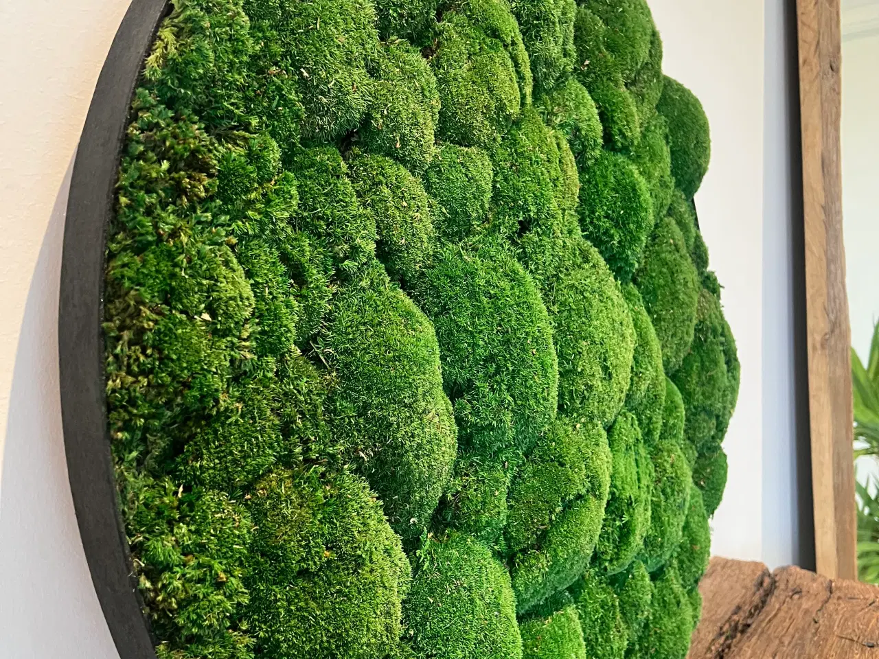 Billede 3 - Mos billede af pudemos