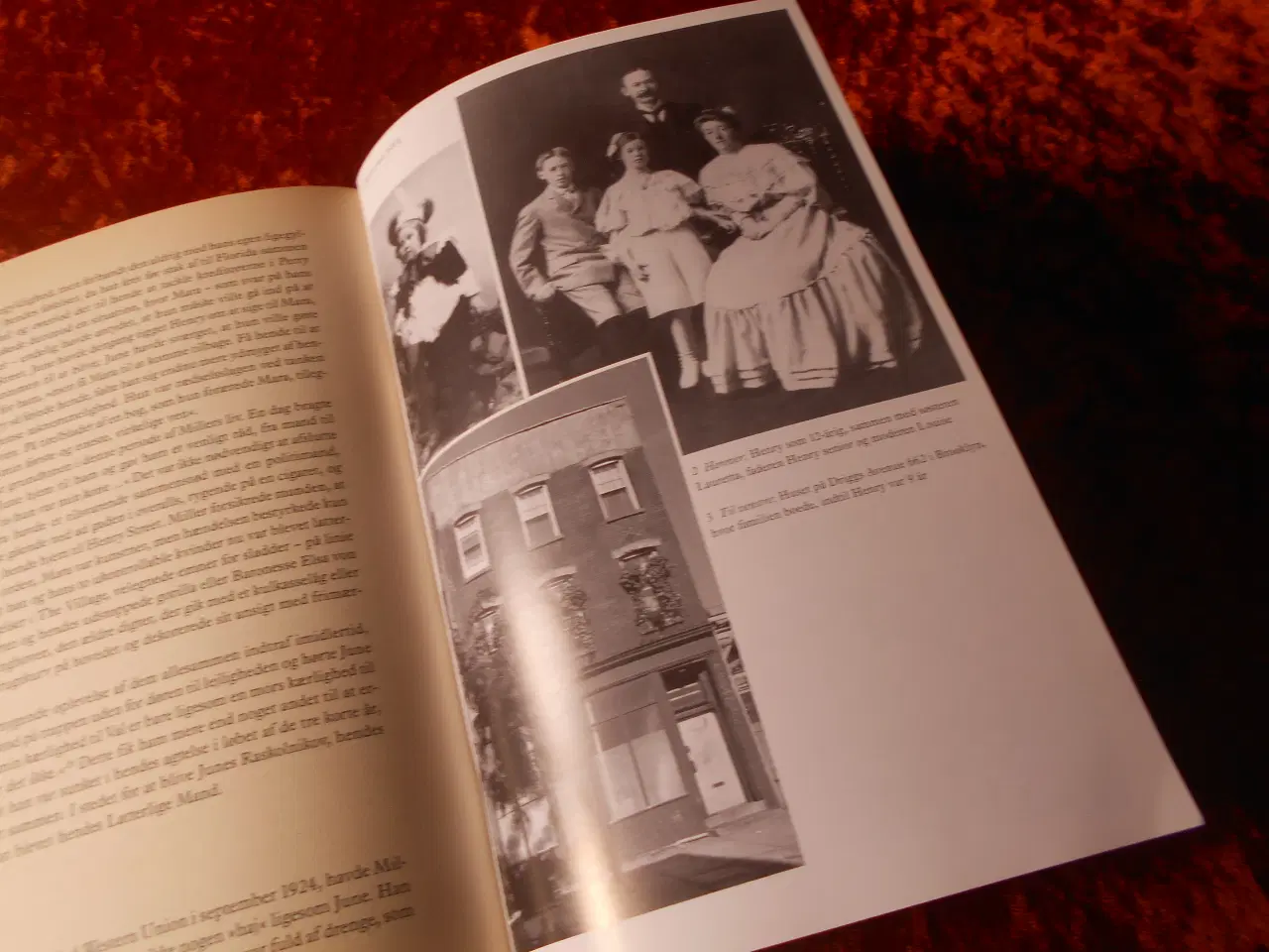 Billede 2 - Henry Miller - et liv, Robert Ferguson, 