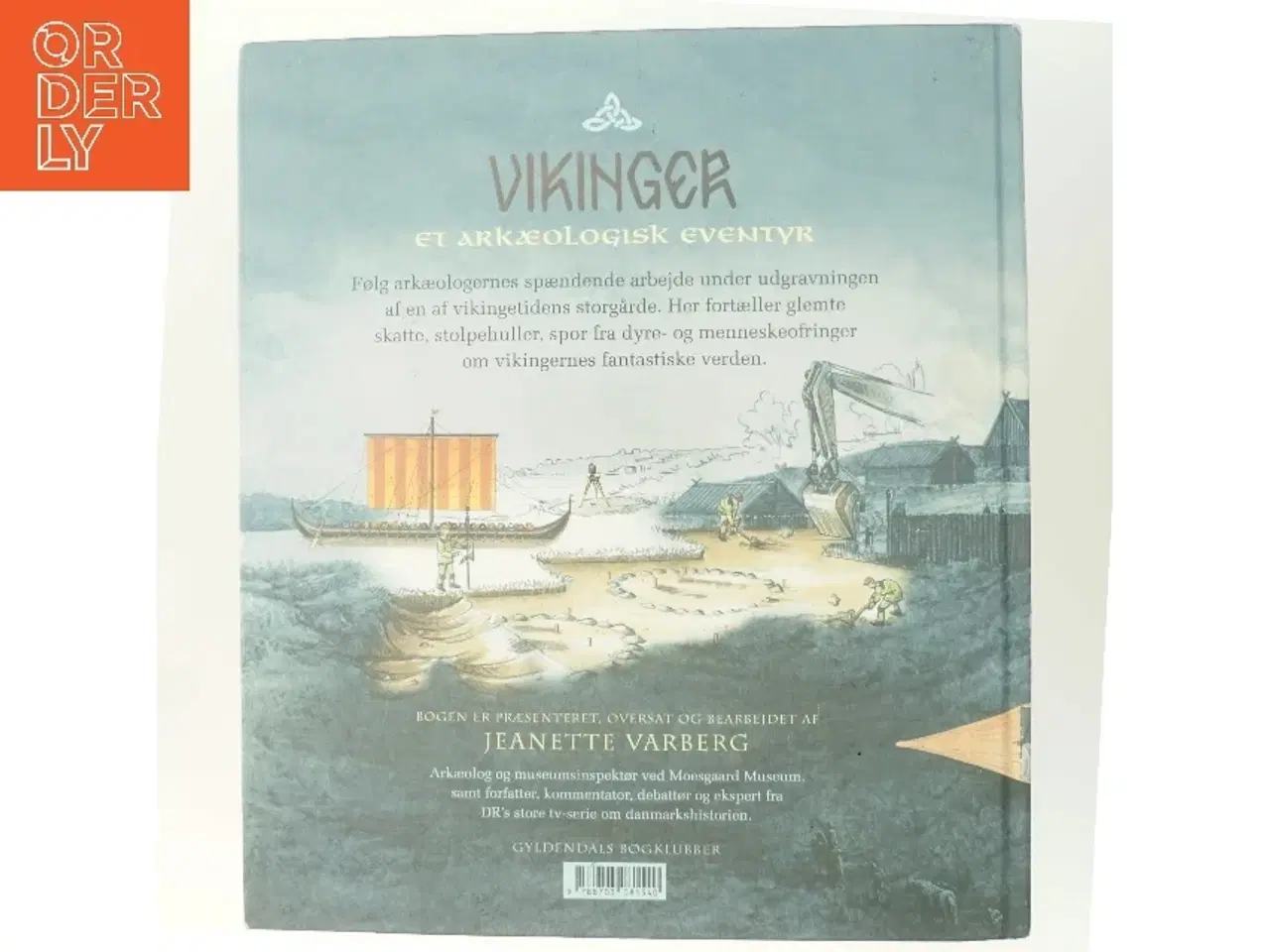 Billede 3 - Vikinger : et arkæologisk eventyr af Mats V&#228;nehem (Bog)