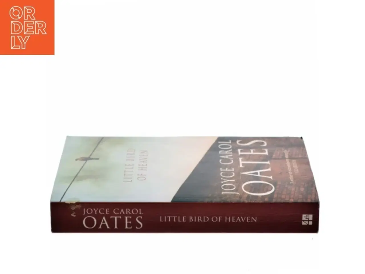 Billede 2 - Little bird of heaven af Joyce Carol Oates (Bog)