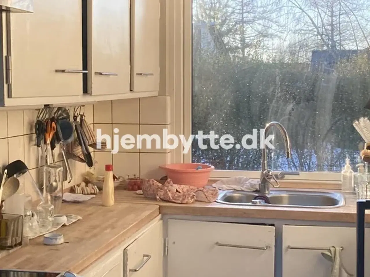 Billede 7 - Hjembytte - Æblerosestien