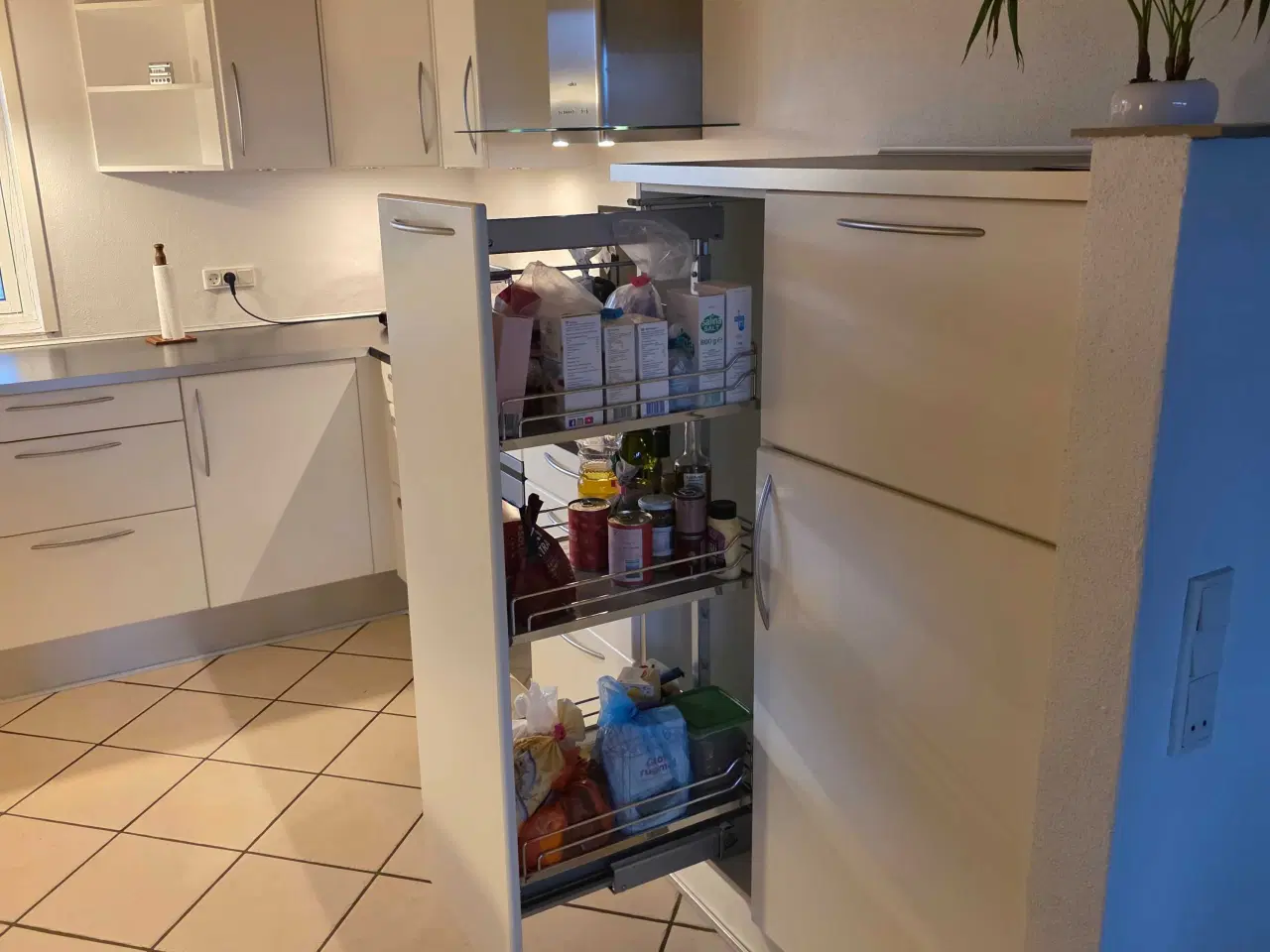 Billede 11 - Svane køkken 