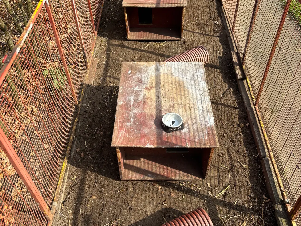 Billede 5 - Kaninbure kaninhop legetøj 