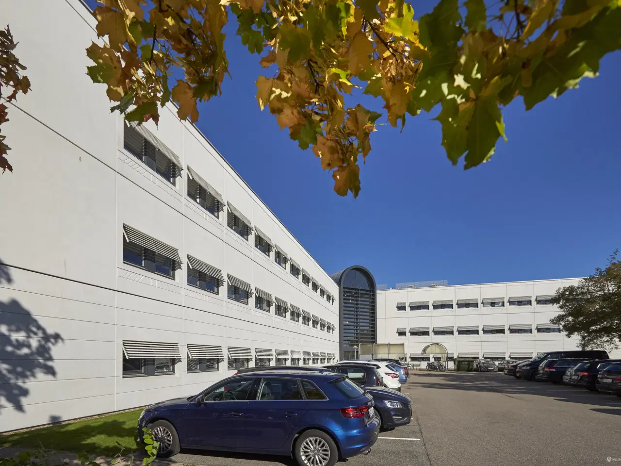 Billede 19 - Lyse og indbydende kontorlokaler med lyse trægulve