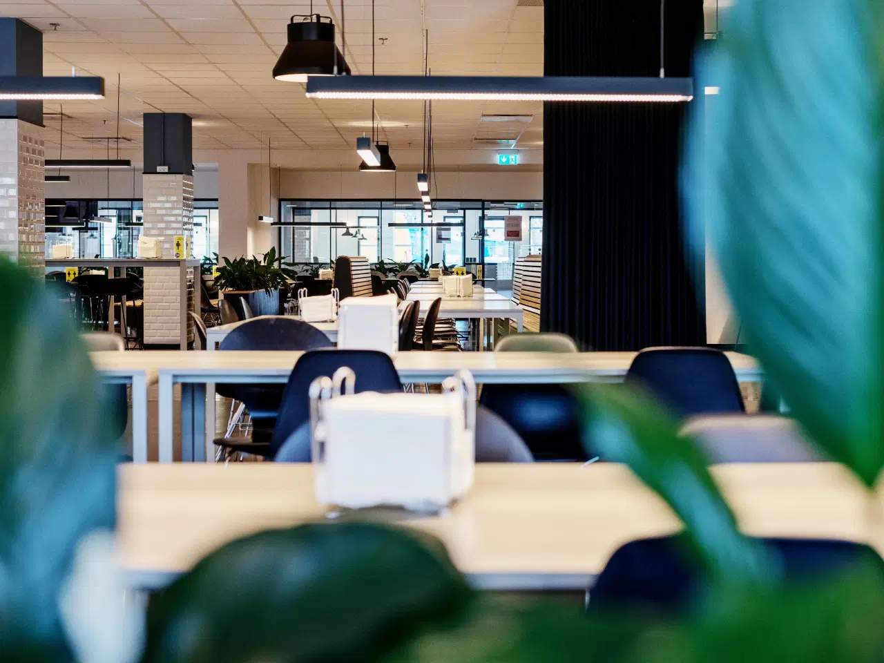 Billede 3 - Kontorlejemål tæt på City og Lufthavnen