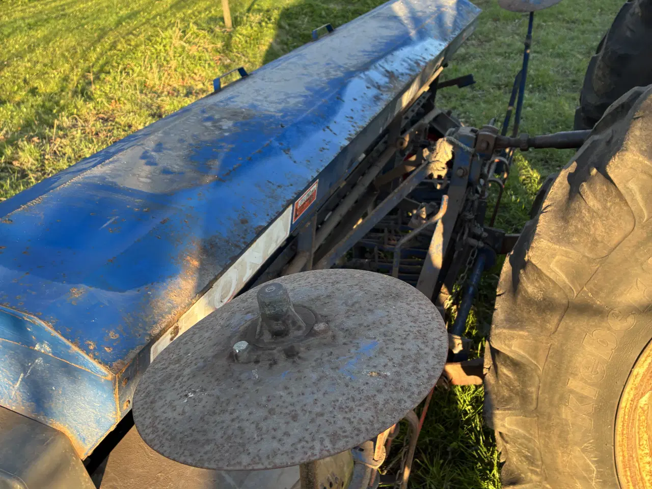 Billede 3 - 3 meters Fiona 