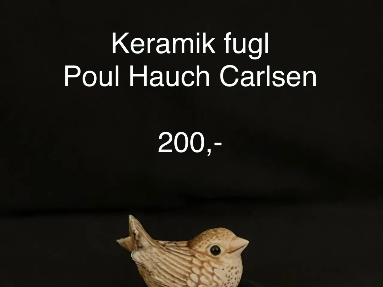 Billede 1 - Fugl af Poul Hauch Carlsen