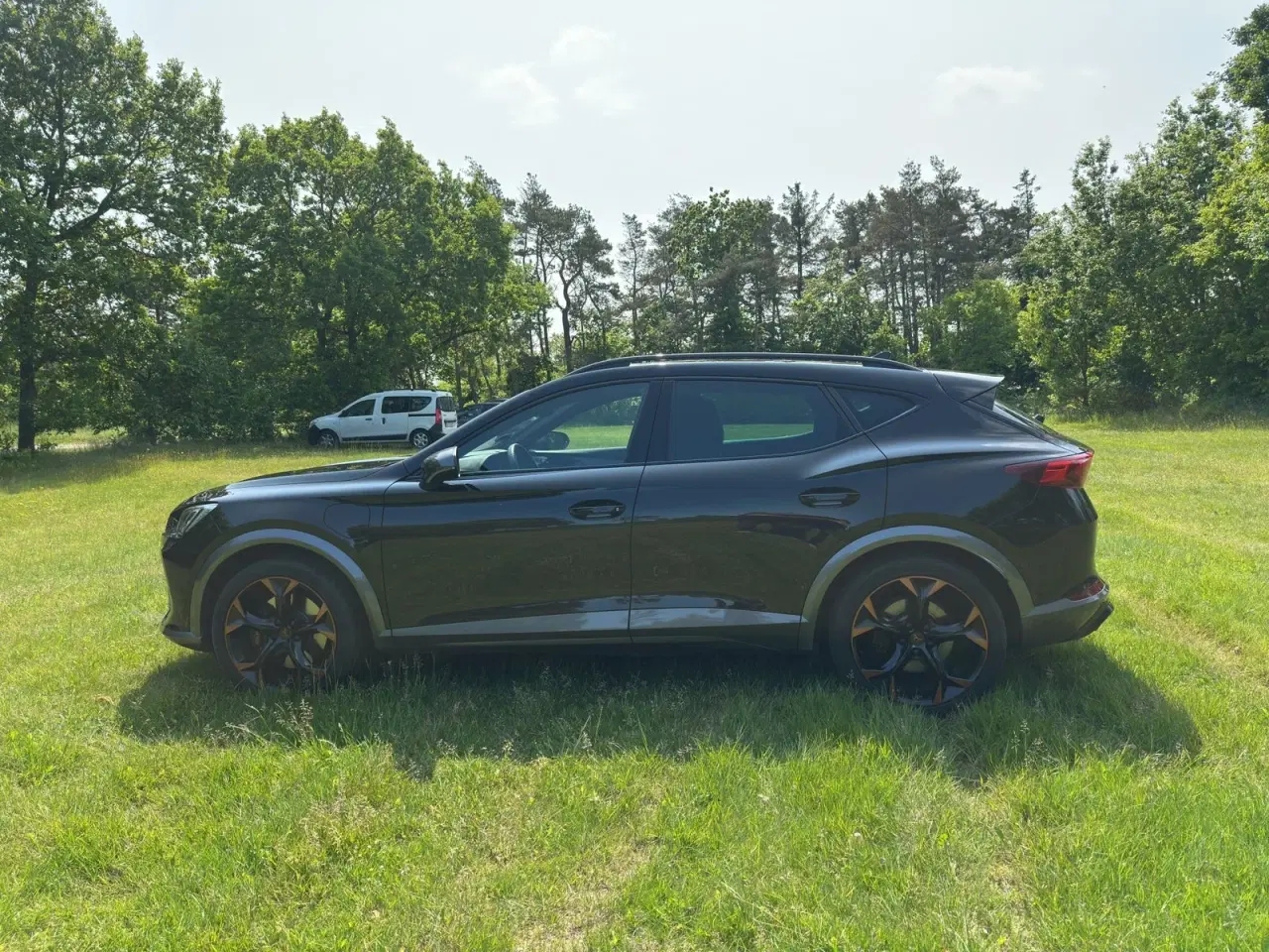 Billede 8 - Cupra Formentor 1,4 eHybrid VZ DSG