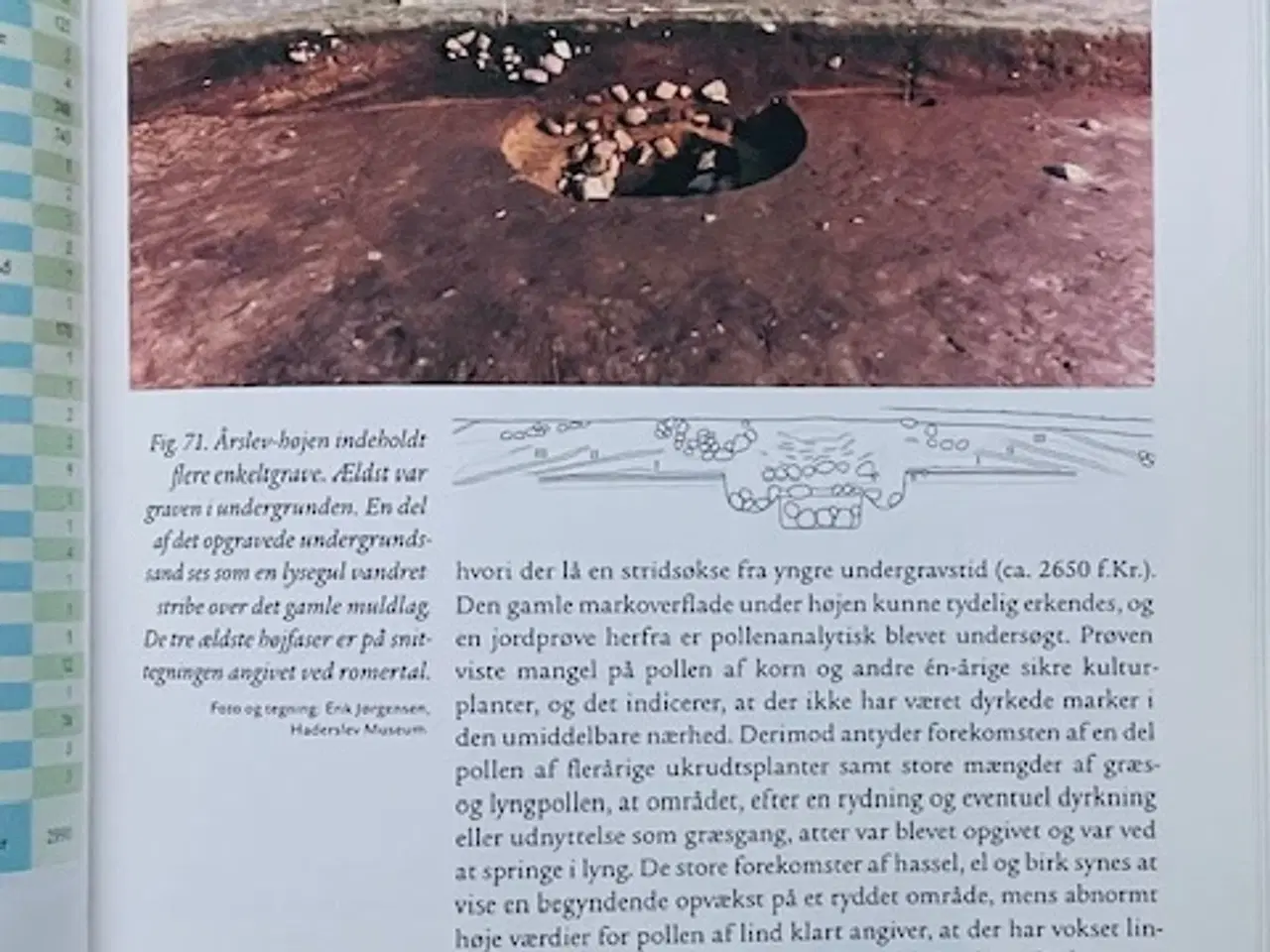 Billede 6 - Det sønderjyske landsbrugs historie bind 1