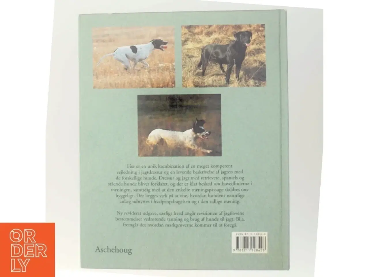 Billede 3 - Jagthunde - dressur og jagt : retrievere, spaniels, stående hunde af Sten Christoffersson (Bog)