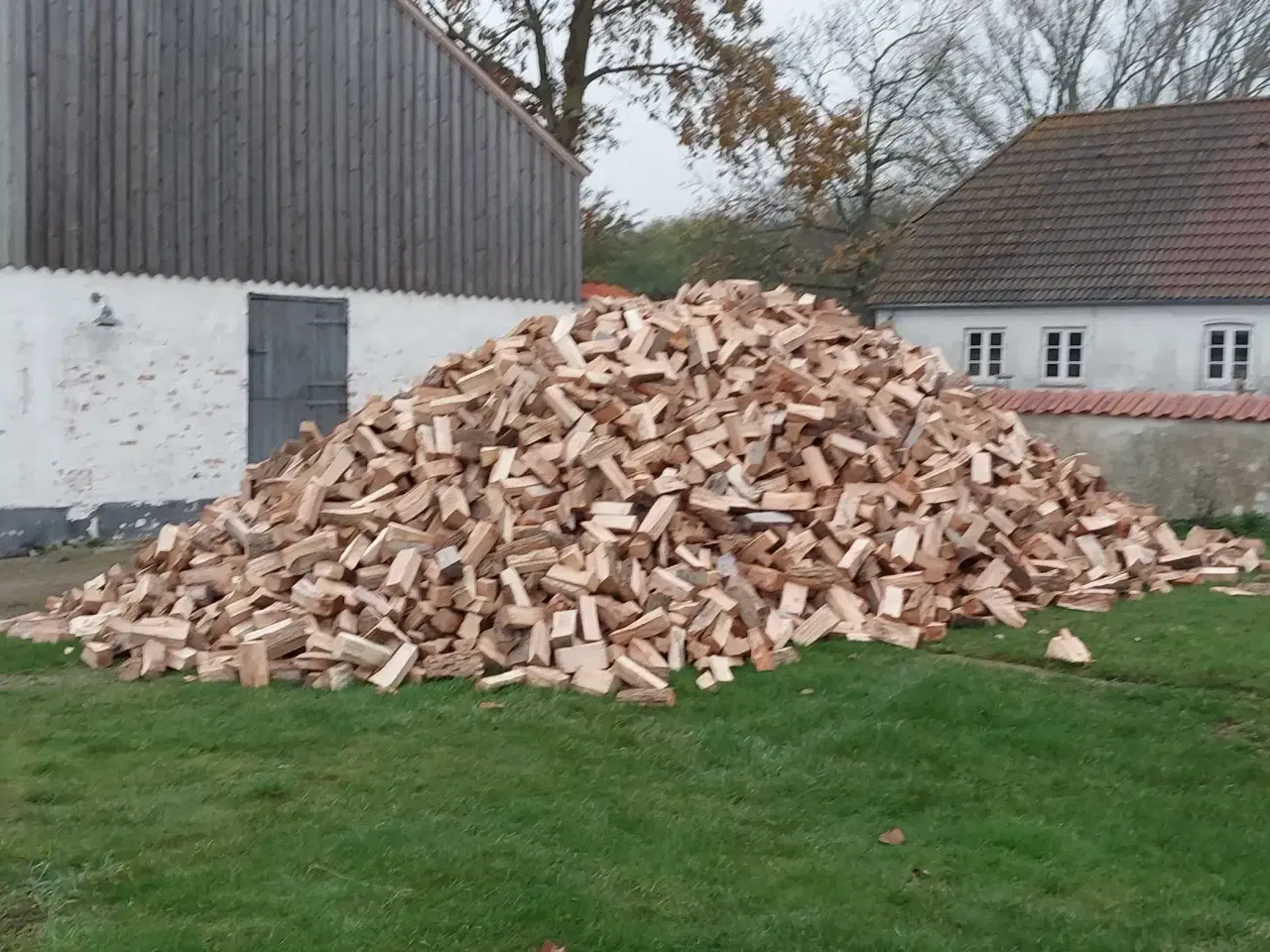 Billede 5 - 🪵🪵Blandet Bøg, Ask og Ahorn Brænde🪵🪵