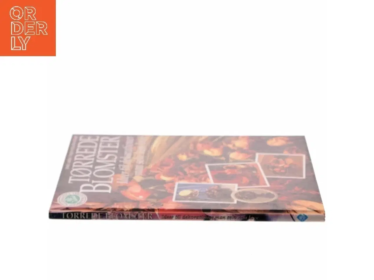 Billede 2 - Tørrede blomster : ideer til dekorationer man selv kan lave (Bog)