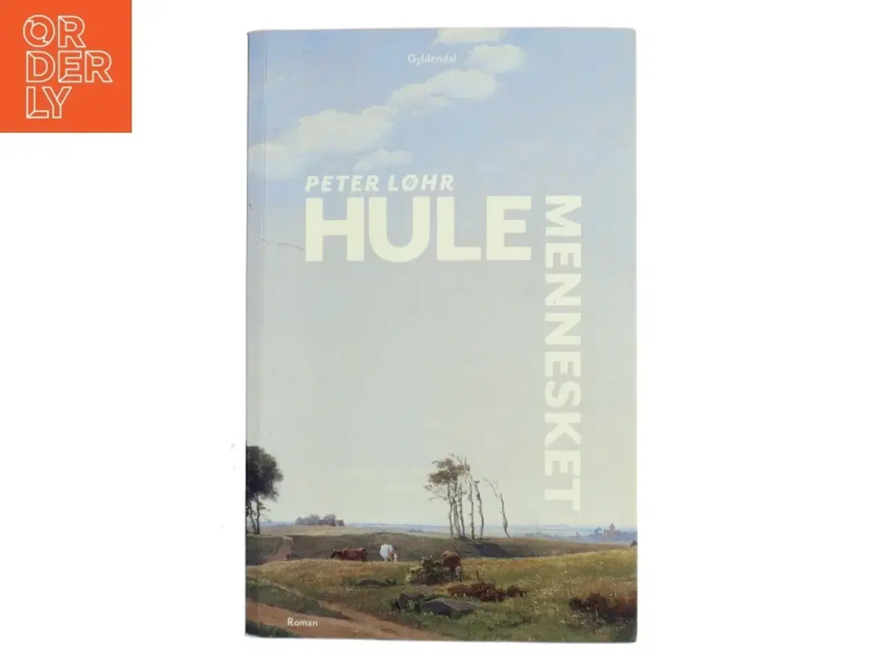 Billede 1 - Hulemennesket : roman af Peter Løhr (Bog)