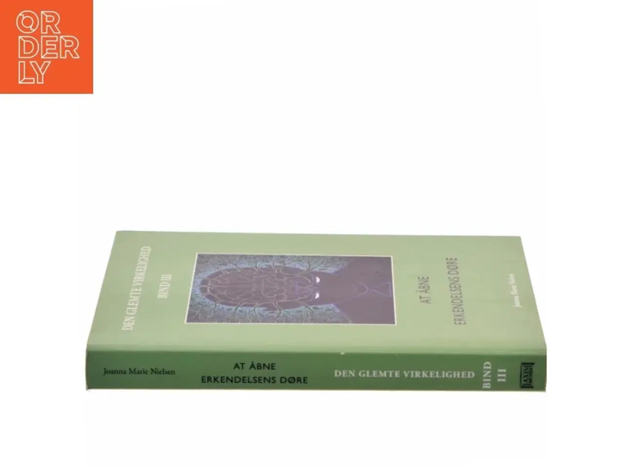 Billede 2 - Den glemte virkelighed. Bind 3, At åbne erkendelsens døre af Joanna Marie Nielsen (f. 1977) (Bog)