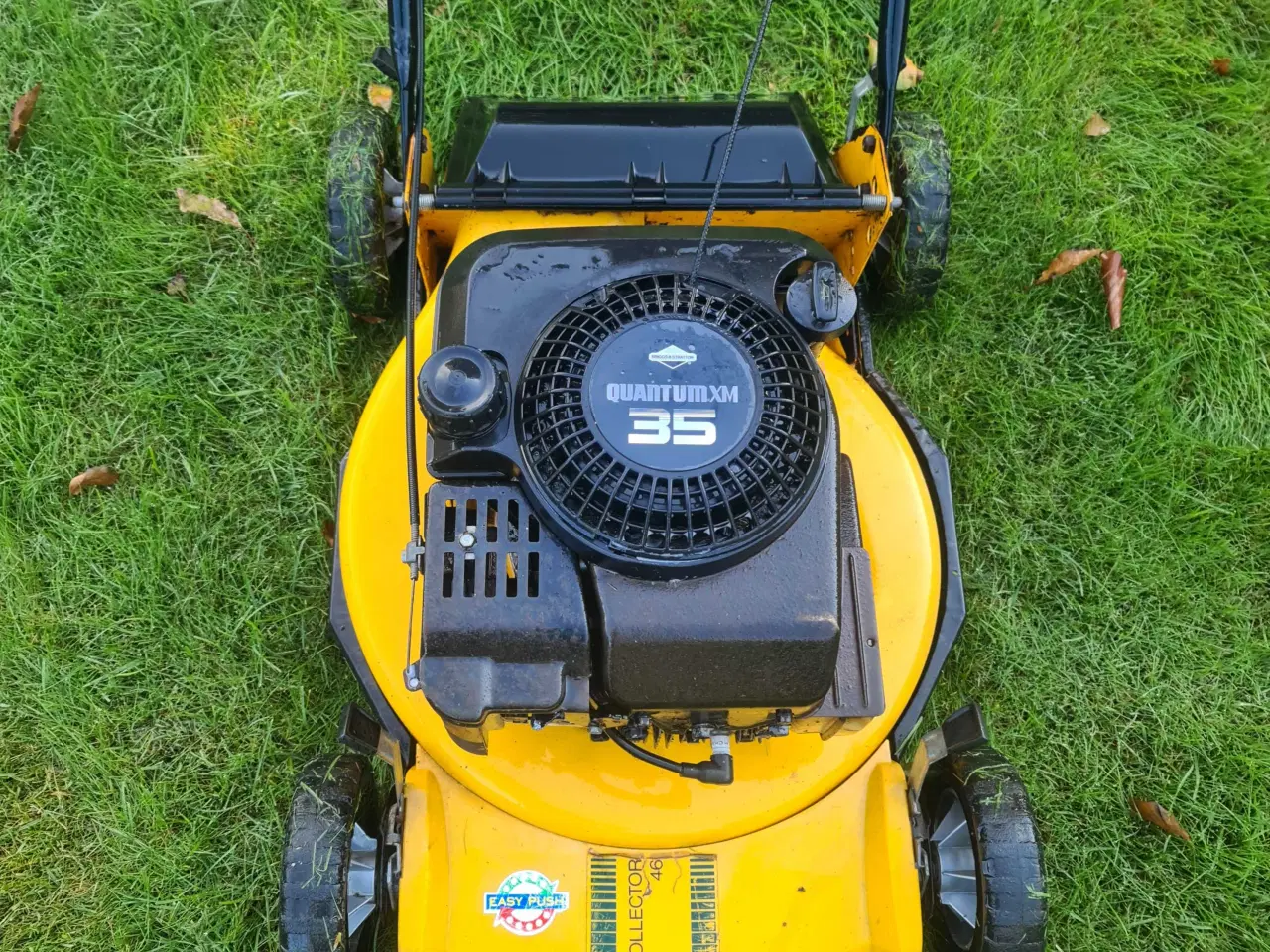 Billede 2 - Bio plæneklipper