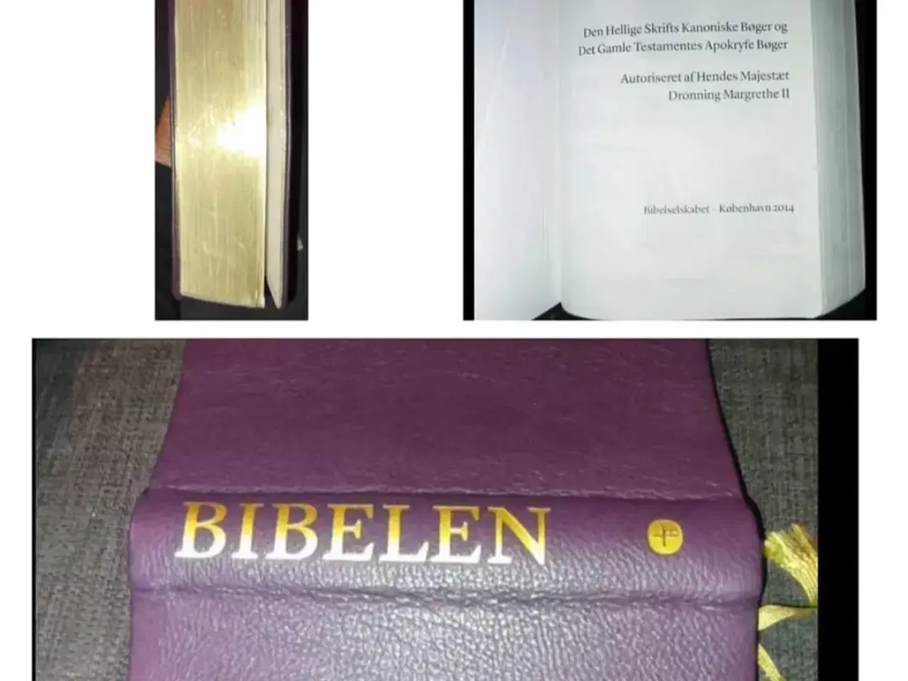 Billede 4 - Bibelen det gamle Testamentes kaninske bøger