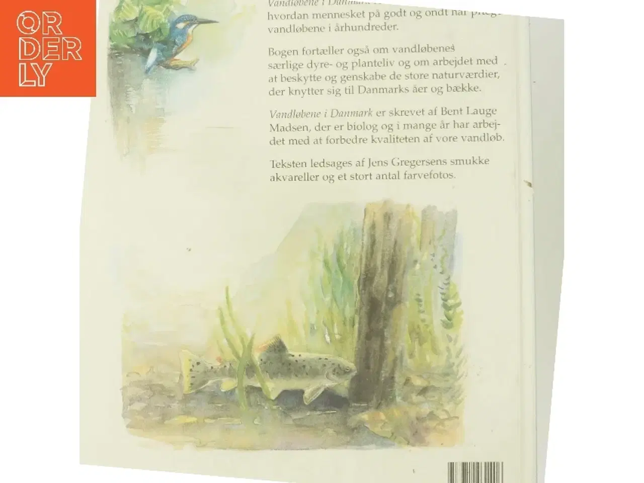 Billede 3 - Vandløbene i Danmark (Bog)