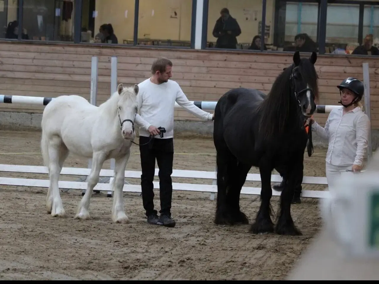 Billede 3 - Tinker hingsteplag i smuk farve