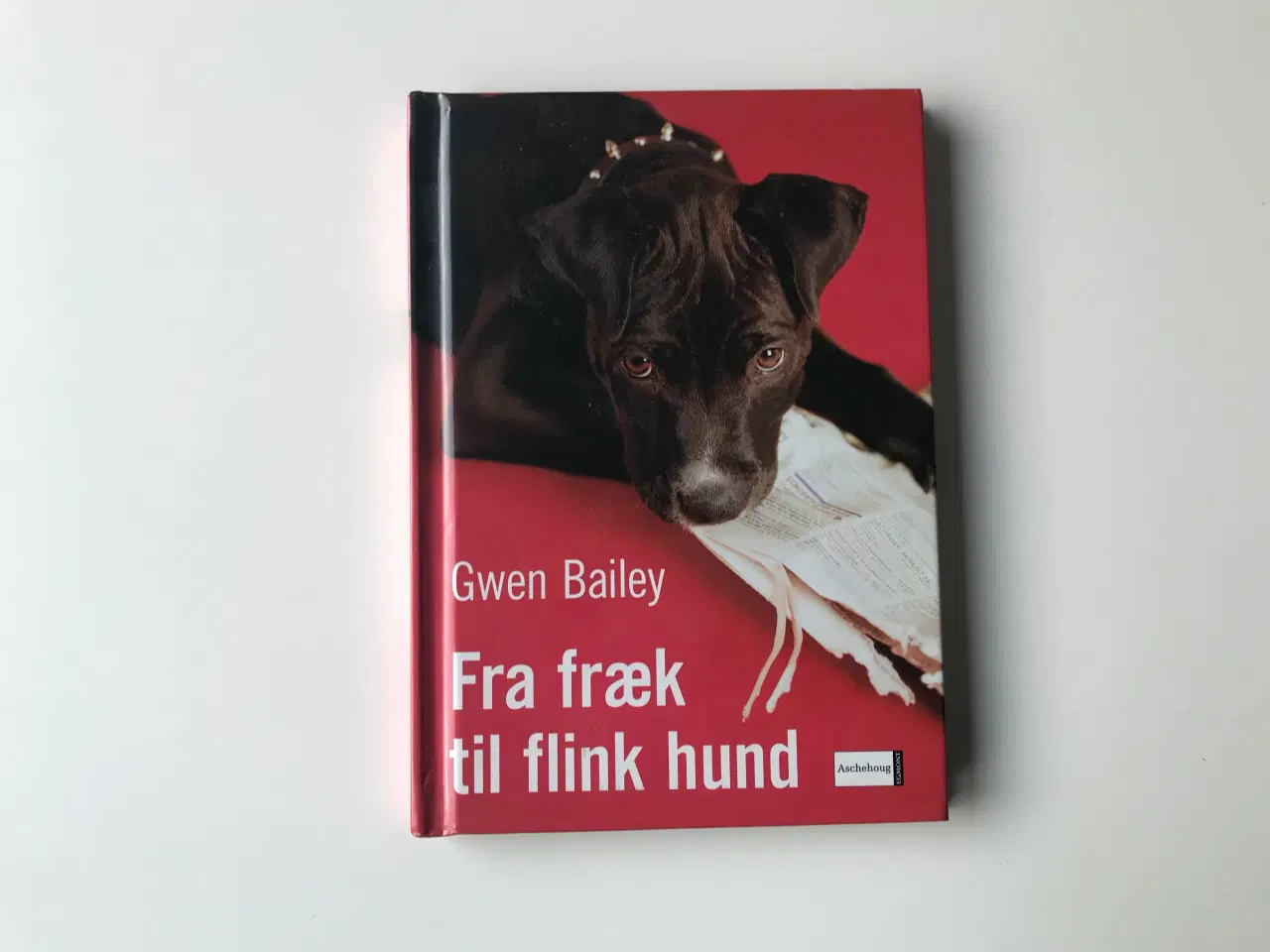 Billede 1 - Fra fræk til flink hund