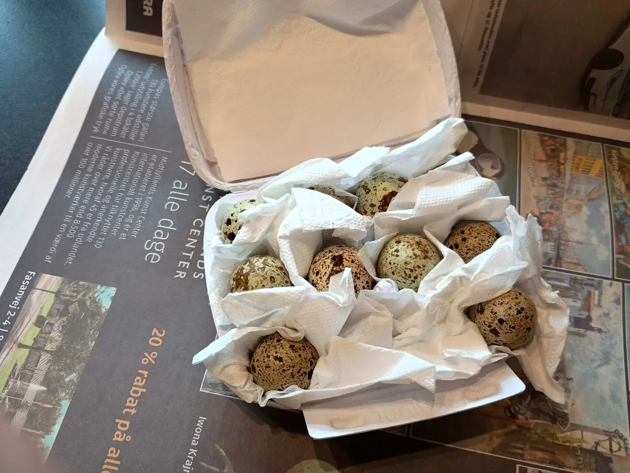 Billede 7 - Dværge silkehøns rugeæg  