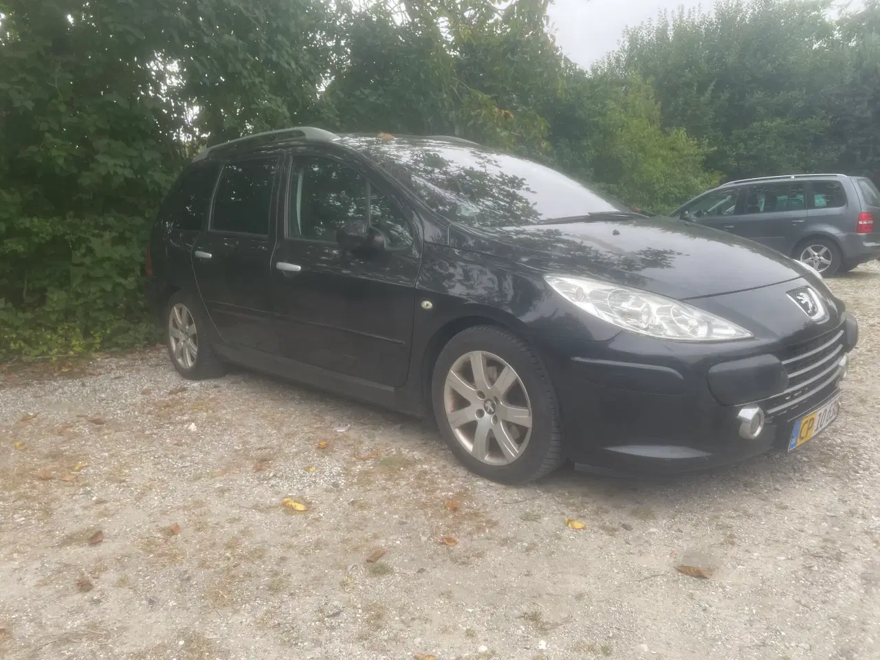 Billede 2 - Peugeot 307 Van partikelfilter 