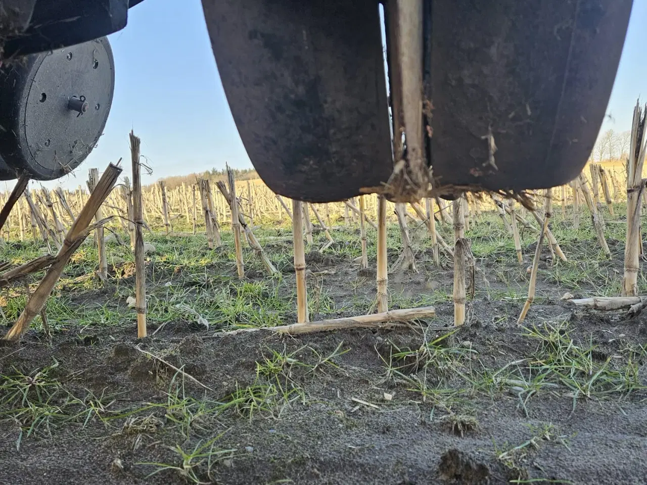 Billede 3 - Majssåmaskine