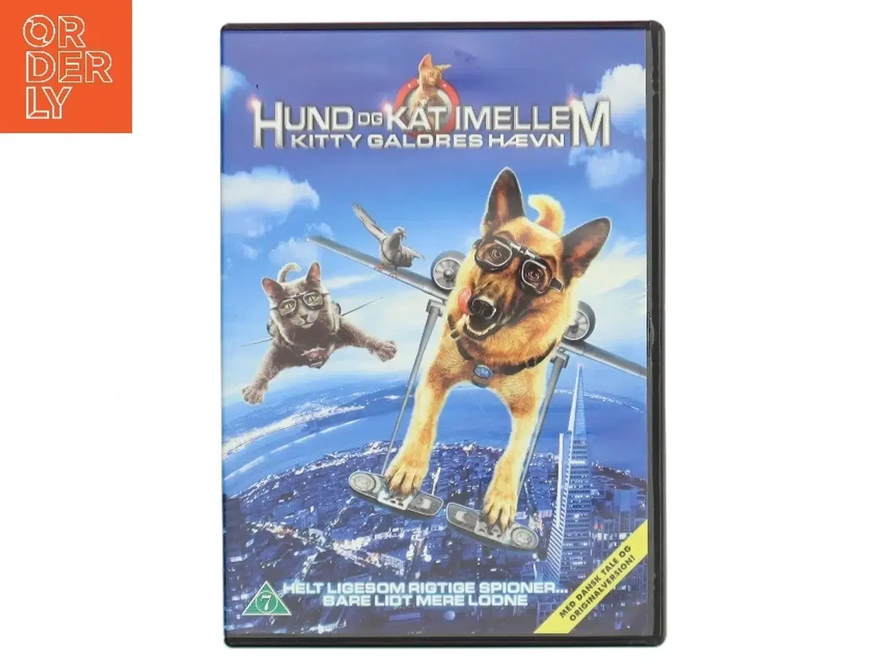 Billede 1 - HUND OG KAT IMELLEM, KITTY