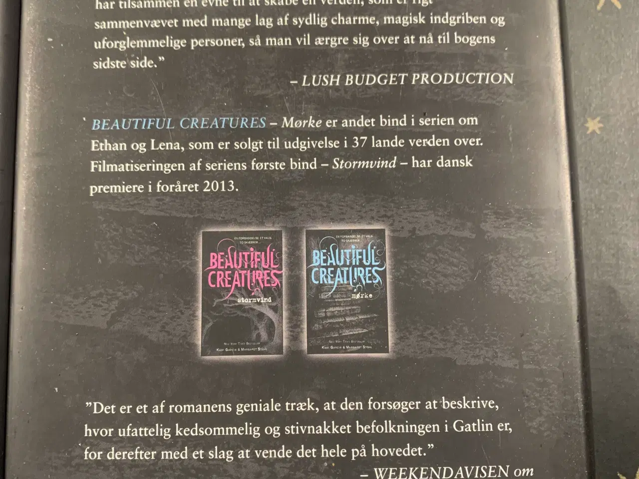 Billede 3 - Fantasy romaner Stormvind og Mørke