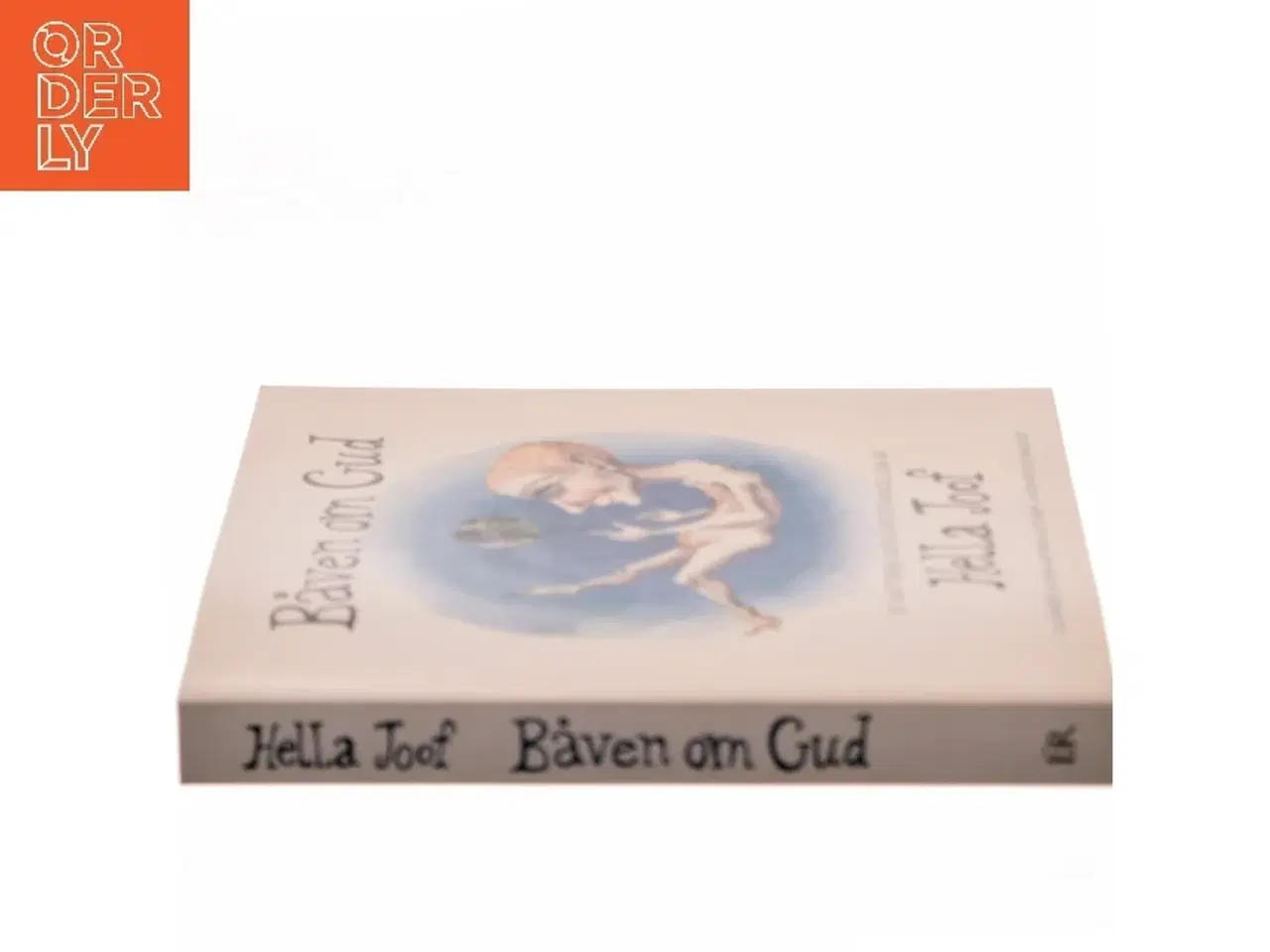 Billede 2 - Båven om Gud : et kættersk kærlighedsevangelium af Hella Joof (Bog)