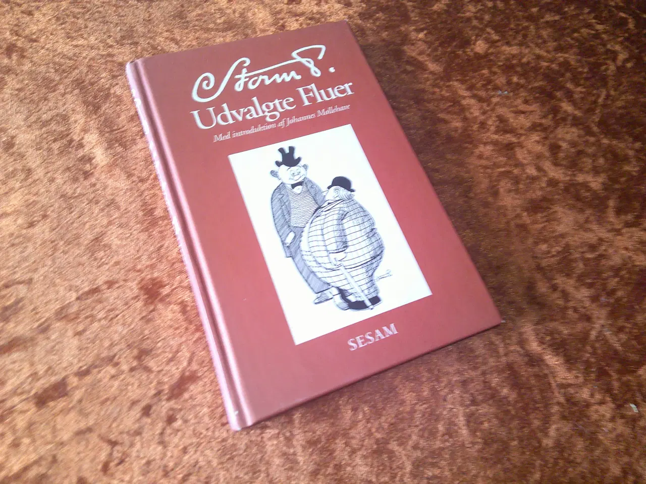 Billede 1 - Udvalgte fluer, Storm P