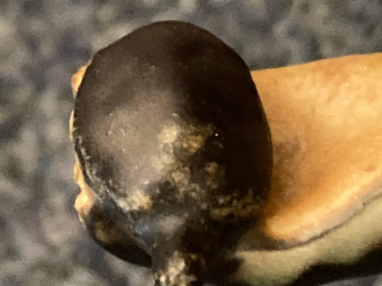 Billede 4 - Bing og Grøndahl abe med skildpadde