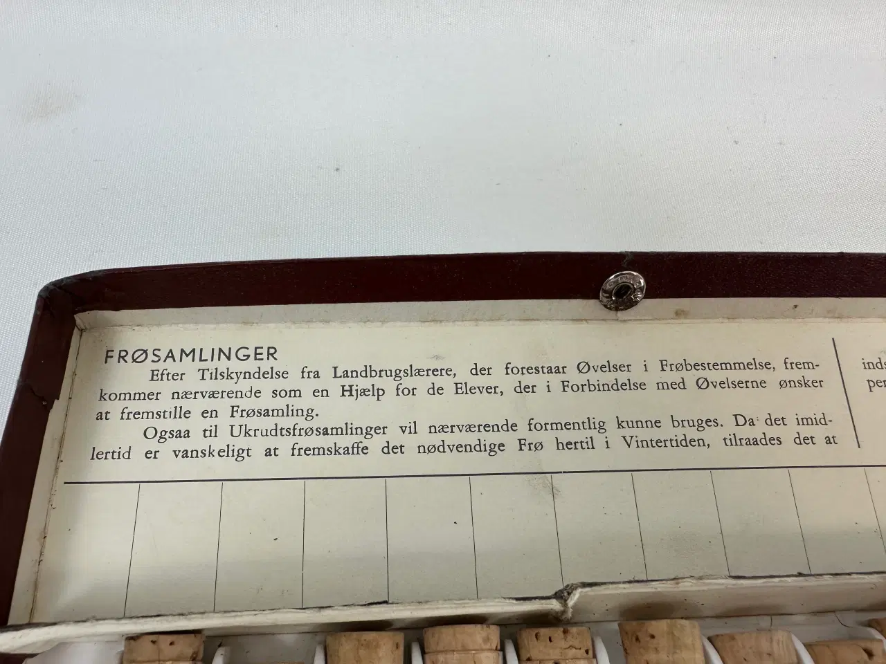 Billede 3 - Ældre frøsamling i 36 cylindere 