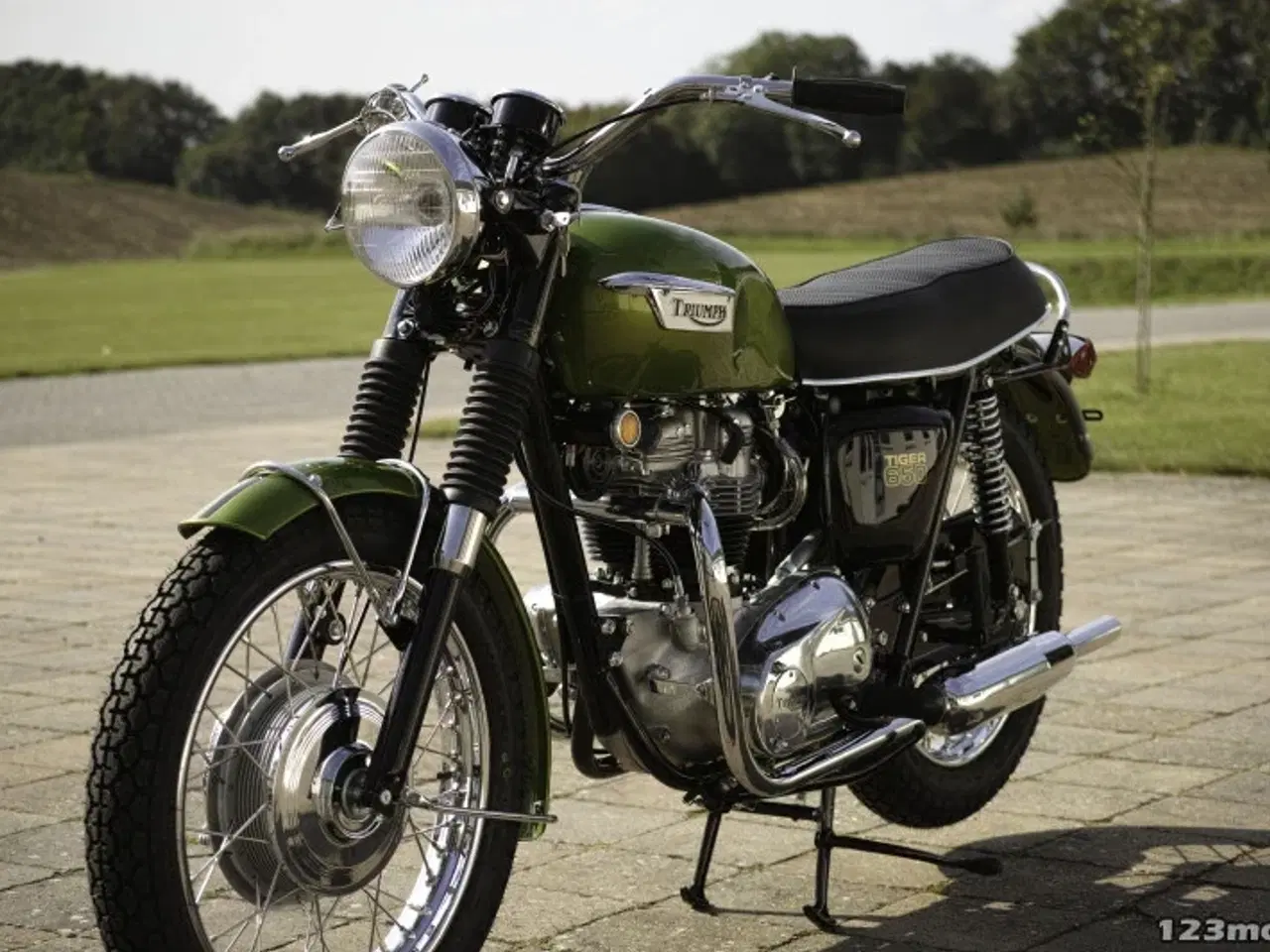 Billede 15 - Triumph Trophy 650 Classic Bike