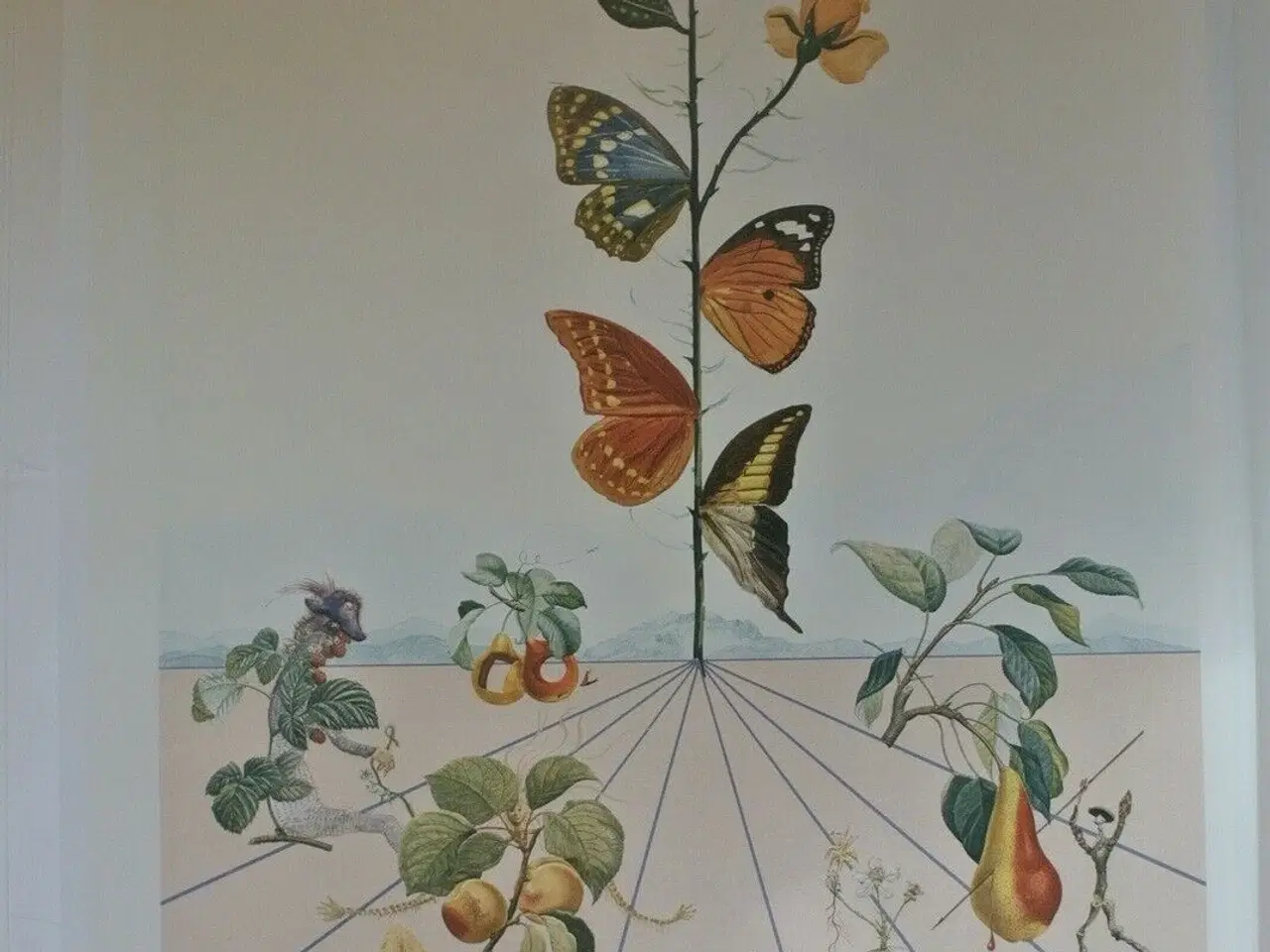 Billede 3 - salvador dali die ausstellung am potsdamer platz, 