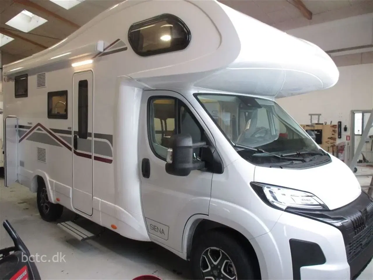 Billede 1 - 2026 - Giottiline Sienna