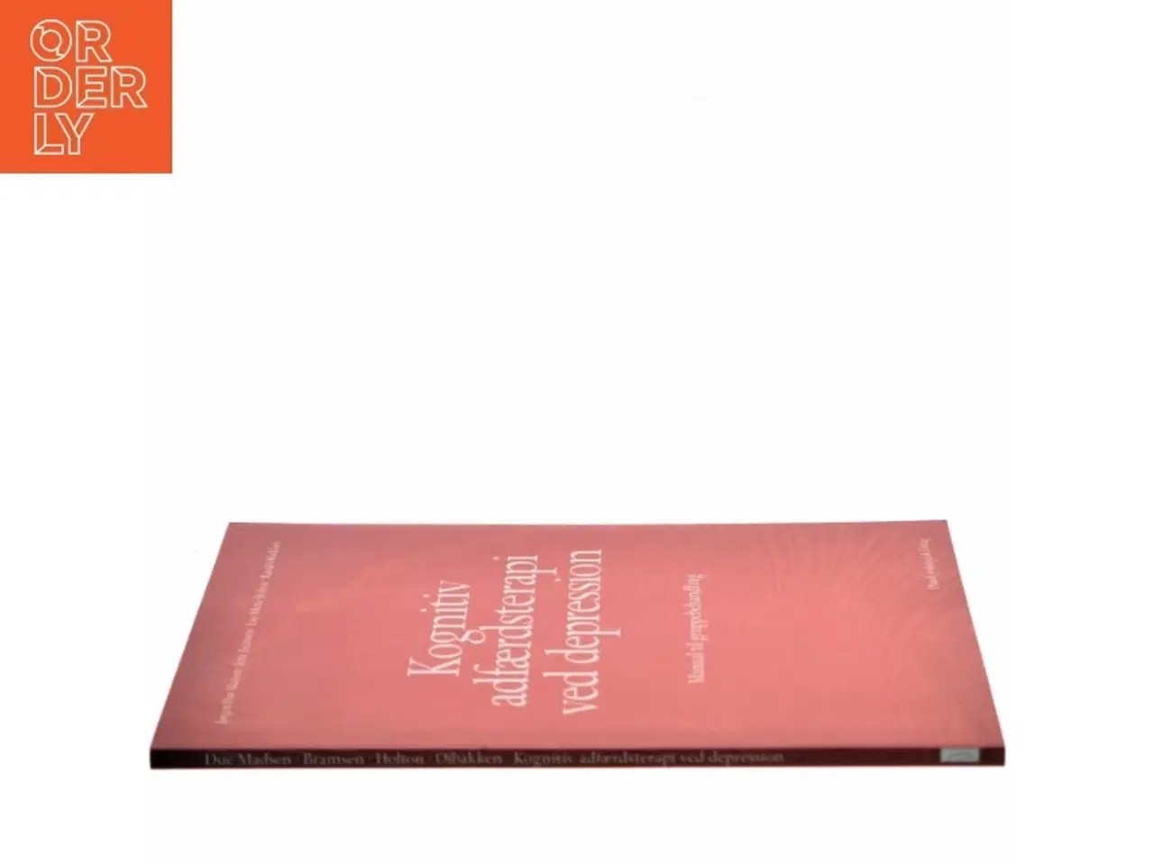 Billede 2 - Kognitiv adfærdsterapi ved depression : manual til gruppebehandling af Jørgen Due Madsen (Bog)