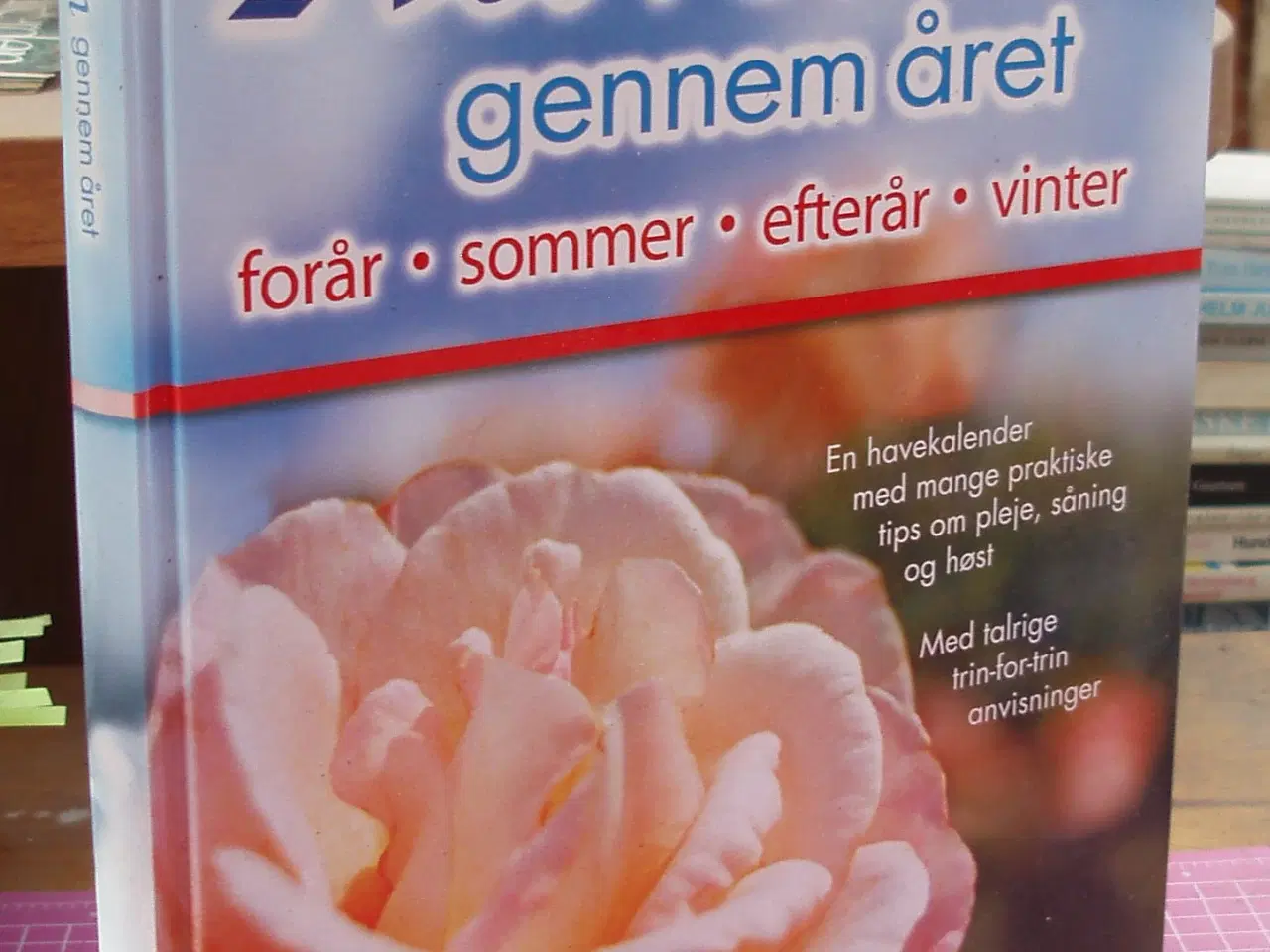 Billede 1 - Den praktiske rådgiver; Haven gennem året