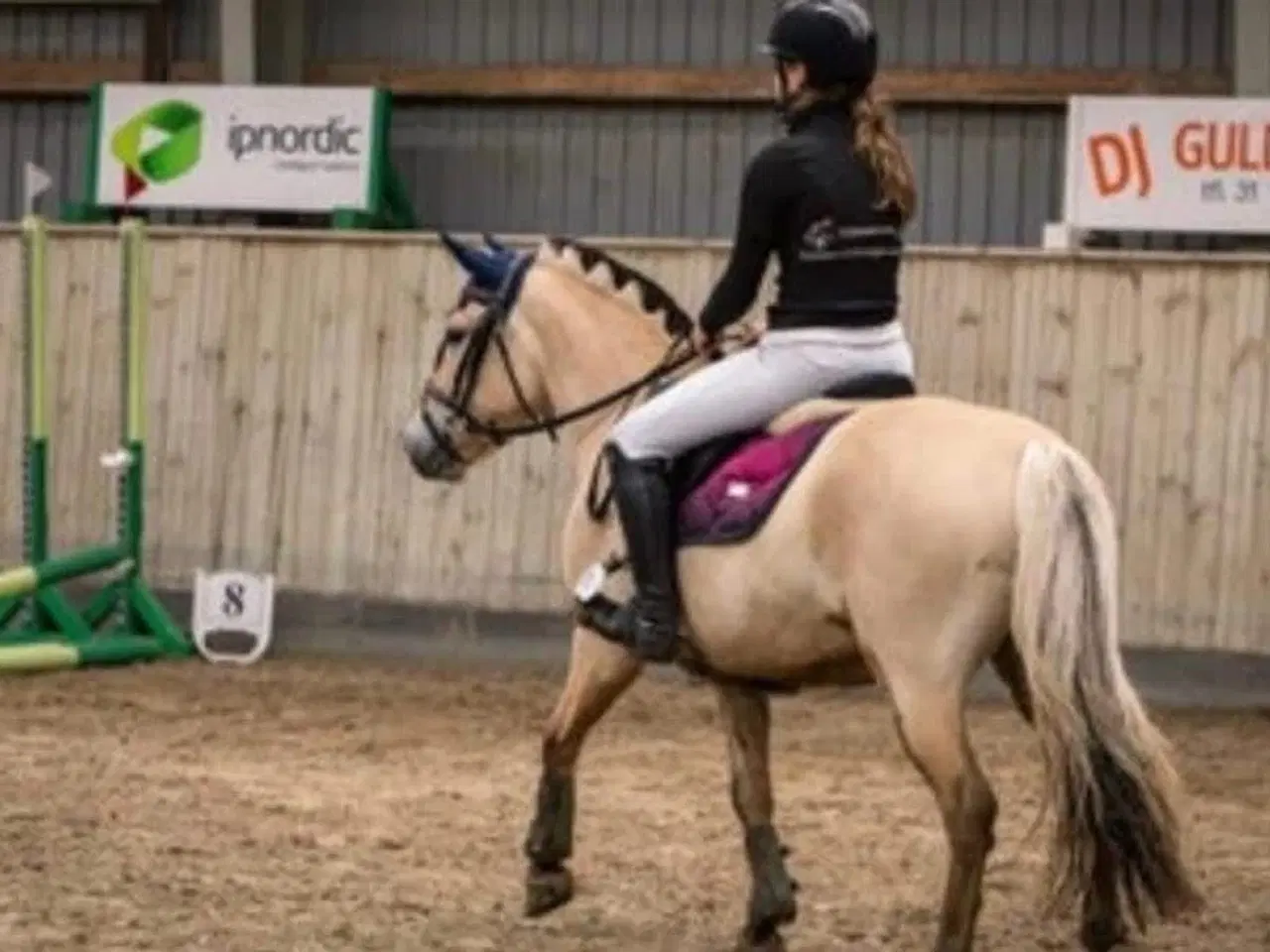 Billede 2 - Leder efter en part til min skønne pony!! 