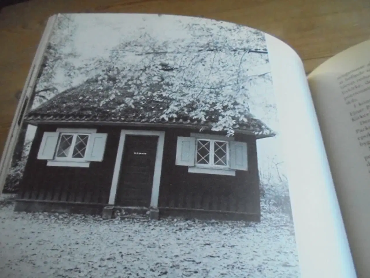 Billede 6 - Kgl. Bygningsinspektør Ejnar Packness 1879-1952