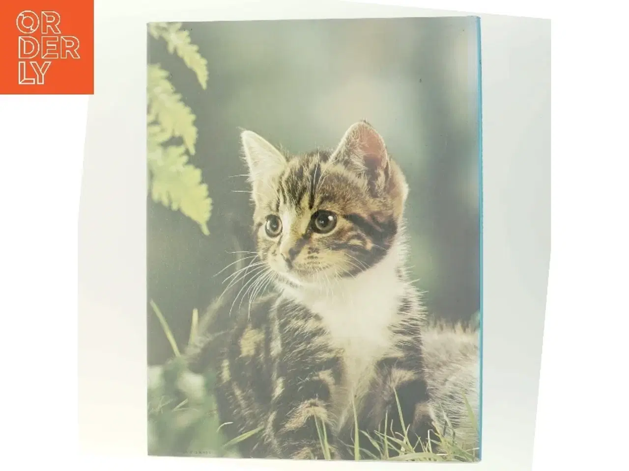 Billede 3 - Katte Killinger (Bog)