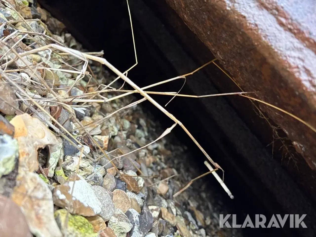 Billede 9 - Container