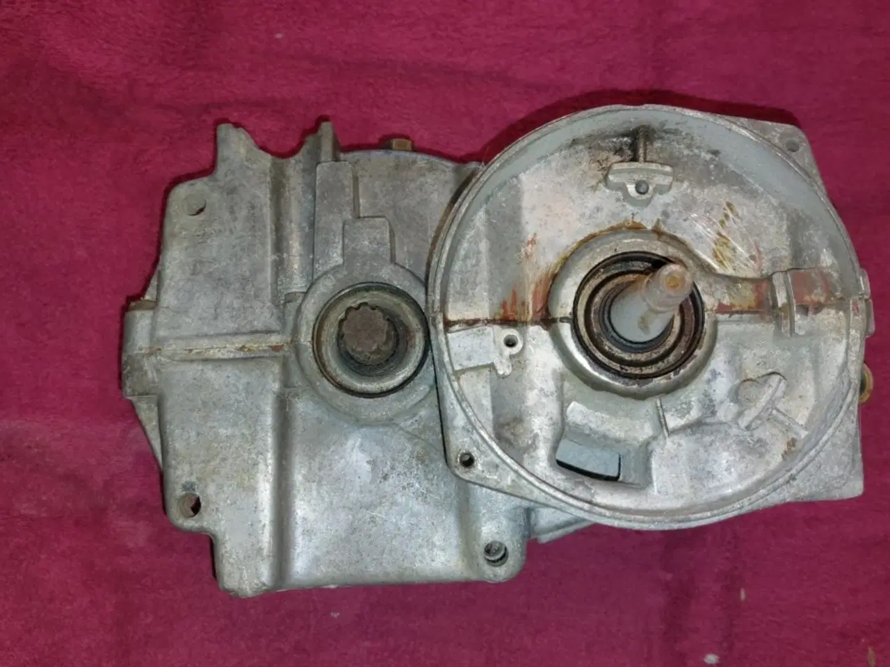 Billede 4 - Puch Maxi motor